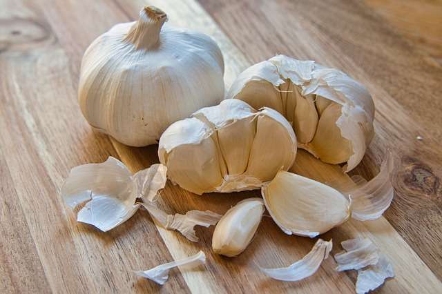 Knoblauch zum Pflanzen kaufen